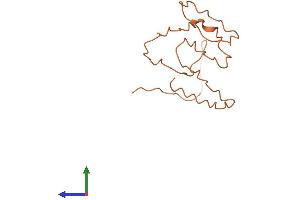 AlphaFold protein structure predicition of Human Recombinant KRTAP2-2 Protein, UniprotID Q9BYT5