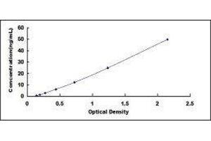 Typical standard curve (CRP ELISA 试剂盒)