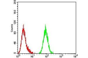 Flow cytometric analysis of Hela cells using ACTH mouse mAb (green) and negative control (red). (ACTH 抗体)