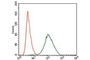 Flow cytometric analysis of NIH3T3 cells using PLK1 mouse mAb (green) and negative control (red). (PLK1 抗体  (AA 331-508))