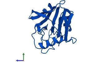 Protein Structure (PS) image for Vacuolar Protein Sorting 29 (VPS29) (AA 1-182) protein (His tag) (ABIN7555987)