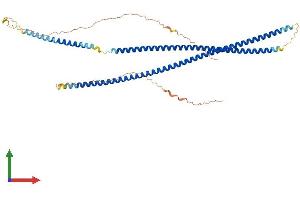 Protein Structure (PS) image for Keratin 86 (KRT86) (AA 1-486) protein (His tag) (ABIN7556834)