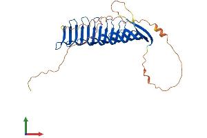AlphaFold protein structure predicition of Human Recombinant RSPH1 Protein, UniprotID Q8WYR4 (RSPH1 Protein (AA 1-309) (His tag))