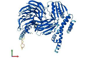 AlphaFold protein structure predicition of Mouse Recombinant Bbs7 Protein, UniprotID Q8K2G4