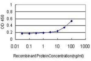 Detection limit for recombinant GST tagged PROX1 is approximately 3ng/ml as a capture antibody. (PROX1 抗体  (AA 638-737))