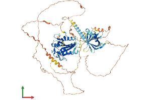 Protein Structure (PS) image for Mediator Complex Subunit 25 (MED25) (AA 1-745) protein (His tag) (ABIN7564726)
