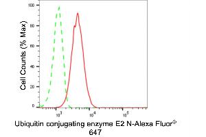 Flow cytometric analysis of Ubiquitin conjugating enzyme E2 N expression in HT- cells using Ubiquitin conjugating enzyme E2 N antibody (ABIN7800751), 1:2,000). (Recombinant UBE2N 抗体)