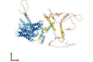 Protein Structure (PS) image for Solute Carrier Family 9 (Sodium/hydrogen Exchanger), Member 3 (SLC9A3) (AA 1-834) protein (His tag) (ABIN7555536)