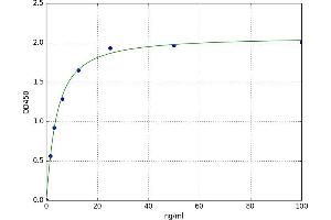 A typical standard curve (Anti-C1q ELISA 试剂盒)