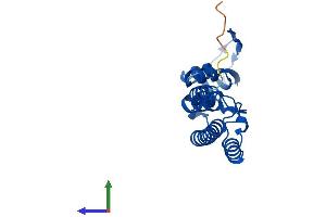 Protein Structure (PS) image for GINS Complex Subunit 2 (Psf2 Homolog) (GINS2) (AA 1-185) protein (His tag) (ABIN7561029)