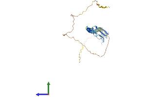 Protein Structure (PS) image for Sushi Domain Containing 3 (SUSD3) (AA 1-269) protein (His tag) (ABIN7560872)