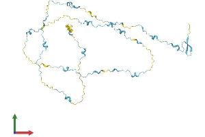 AlphaFold protein structure predicition of Mouse Recombinant Saxo2 Protein, UniprotID Q8BQB6