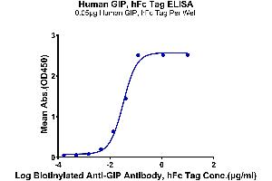 ELISA image for Gastric Inhibitory Polypeptide (GIP) (AA 22-93) protein (Fc Tag) (ABIN7274747)