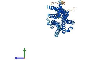 AlphaFold protein structure predicition of Mouse Recombinant Adora2b Protein, UniprotID Q60614