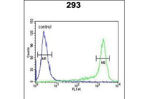 Flow cytometric analysis of 293 cells (right histogram) compared to a negative control cell (left histogram). (Peroxiredoxin 6 抗体  (AA 103-132))