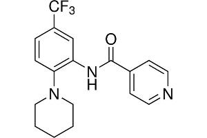 Chemical structure of SRPIN340 , a SR kinase inhibitor.