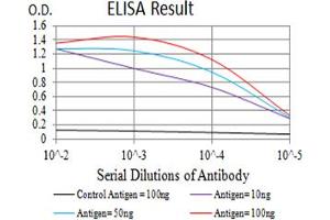 Black line: Control Antigen (100 ng),Purple line: Antigen (10 ng), Blue line: Antigen (50 ng), Red line:Antigen (100 ng) (Serotonin Receptor 3B 抗体  (AA 23-150))