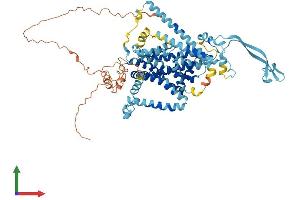 Protein Structure (PS) image for Solute Carrier Family 34 (Sodium Phosphate), Member 2 (SLC34A2) (AA 1-697) protein (His tag) (ABIN7561292)