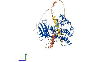 Protein Structure (PS) image for Casein Kinase 1, epsilon (CSNK1E) (AA 1-416) protein (His tag) (ABIN7561718)