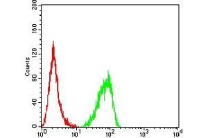 Flow cytometric analysis of Hela cells using RBBP7 mouse mAb (green) and negative control (red). (RBBP7 抗体  (AA 1-200))