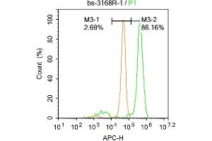 Hela cells were fixed with 4% PFA for 10min at room temperature, permeabilized with 90% ice-cold methanol for 20 min at -20℃, and incubated in 5% BSA blocking buffer for 30 min at room temperature. (Glucocorticoid Receptor 抗体  (pSer211))