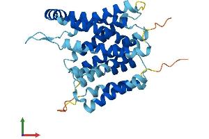 Protein Structure (PS) image for Solute Carrier Family 35, Member B1 (SLC35B1) (AA 1-322) protein (His tag) (ABIN7556833)