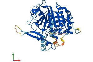 Protein Structure (PS) image for Platelet-Activating Factor Acetylhydrolase 2, 40kDa (PAFAH2) (AA 1-390) protein (His tag) (ABIN7559856)