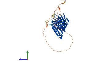 Protein Structure (PS) image for RAD9 Homolog A (S. Pombe) (RAD9A) (AA 1-391) protein (His tag) (ABIN7555147)
