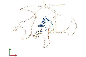 Protein Structure (PS) image for Serum Response Factor (SRF) (AA 1-504) protein (His tag) (ABIN7561695)