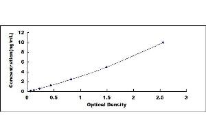 Typical standard curve (Ferritin ELISA 试剂盒)