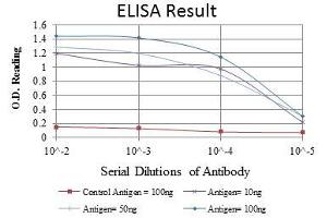 ELISA image for anti-Protein Kinase, AMP-Activated, alpha 1 Catalytic Subunit (PRKAA1) antibody (ABIN969364)