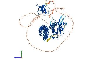 Protein Structure (PS) image for Sorting Nexin 18 (SNX18) (AA 1-614) protein (His tag) (ABIN7564834)