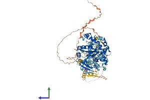 Protein Structure (PS) image for Zinc Finger, MYND-Type Containing 15 (ZMYND15) (AA 1-742) protein (His tag) (ABIN7545300)