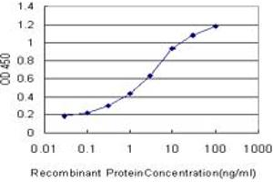 Detection limit for recombinant GST tagged GATA2 is approximately 0. (GATA2 抗体  (AA 1-102))