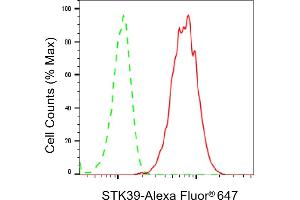 Flow cytometric analysis of STK39 expression in HepG2 cells using STK39 antibody (ABIN7800304), 1:2,000). (Recombinant STK39 抗体)