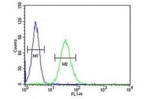 CD80 antibody flow cytometric analysis of HL-60 cells (right histogram) compared to a negative control (left histogram). (CD80 抗体  (AA 260-288))