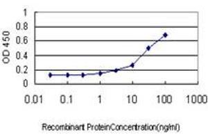 Detection limit for recombinant GST tagged CDC45L is approximately 0. (CDC45 抗体  (AA 477-566))