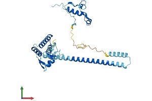 Protein Structure (PS) image for Menage A Trois Homolog 1, Cyclin H Assembly Factor (Xenopus Laevis) (MNAT1) (AA 1-309) protein (His tag) (ABIN7549198)