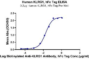 ELISA image for Killer Cell Lectin-Like Receptor Subfamily G, Member 1 (KLRG1) (AA 60-195) protein (Fc Tag) (ABIN7275099)