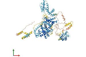 Protein Structure (PS) image for Sorting Nexin 14 (SNX14) (AA 1-964) protein (His tag) (ABIN7564361)