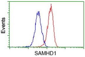 Flow cytometric Analysis of Hela cells, using anti-SAMHD1 antibody (ABIN2453937), (Red), compared to a nonspecific negative control antibody, (Blue). (SAMHD1 抗体)