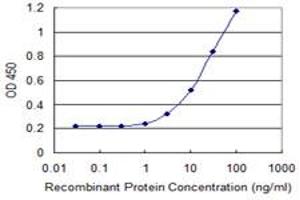 Detection limit for recombinant GST tagged ALDH1A1 is 1 ng/ml as a capture antibody. (ALDH1A1 抗体  (AA 1-501))