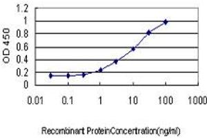 Detection limit for recombinant GST tagged LMO3 is approximately 1ng/ml as a capture antibody. (LMO3 抗体  (AA 91-146))