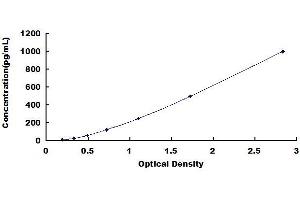 Typical standard curve