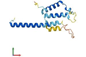 Protein Structure (PS) image for Thyroid Hormone Responsive (THRSP) (AA 1-146) protein (His tag) (ABIN7544504)