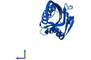 Protein Structure (PS) image for Nuclear Transport Factor 2-Like Export Factor 2 (NXT2) (AA 1-142) protein (His tag) (ABIN7557241)
