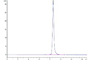 Size-exclusion chromatography-High Pressure Liquid Chromatography (SEC-HPLC) image for Carbonic Anhydrase IX (CA9) (AA 38-402) protein (His tag) (ABIN7274013)