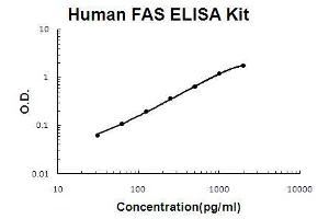 Human sFAS PicoKine ELISA Kit standard curve (FAS ELISA 试剂盒)