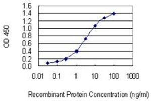 Detection limit for recombinant GST tagged MMP28 is 0. (MMP28 抗体  (AA 441-520))