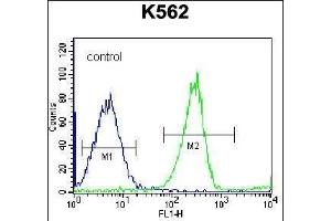 RPS4Y1 Antibody (Center) (ABIN656730 and ABIN2845954) flow cytometric analysis of K562 cells (right histogram) compared to a negative control cell (left histogram). (RPS4Y1 抗体  (AA 76-105))
